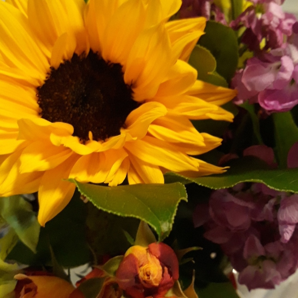 Meet your Posher, Sandra ann